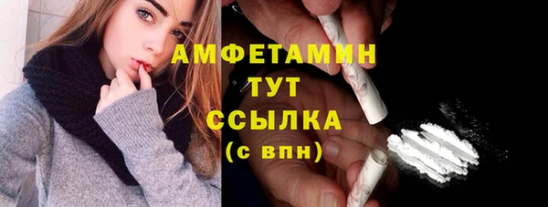 ПСИЛОЦИБИНОВЫЕ ГРИБЫ Арсеньев