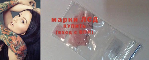 ПСИЛОЦИБИНОВЫЕ ГРИБЫ Арсеньев