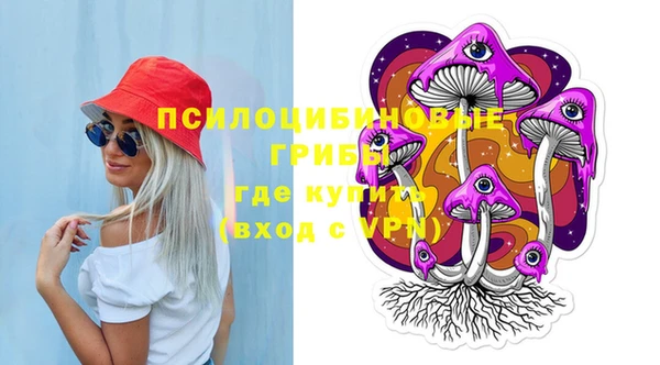 ПСИЛОЦИБИНОВЫЕ ГРИБЫ Арсеньев