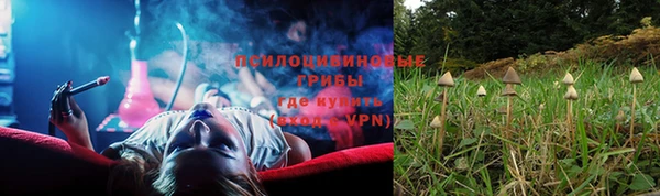 ПСИЛОЦИБИНОВЫЕ ГРИБЫ Арсеньев