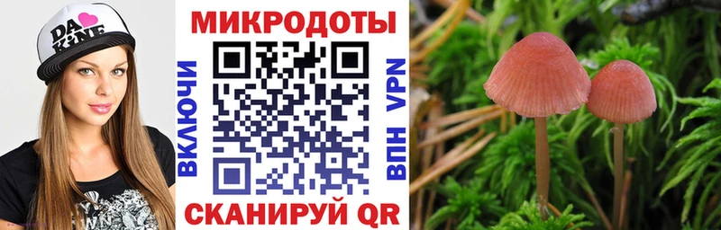 Галлюциногенные грибы Psilocybe  Родники 
